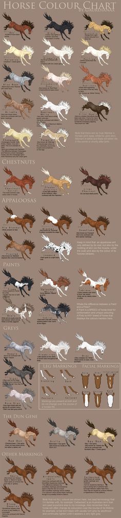 an image of different types of birds in flight with their names and colors on them