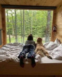 a person laying on a bed with a dog in front of them looking out the window