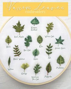 a cross stitch pattern with different types of leaves on it and the names of each leaf