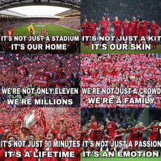 the liverpool united team celebrating their victory at anfield