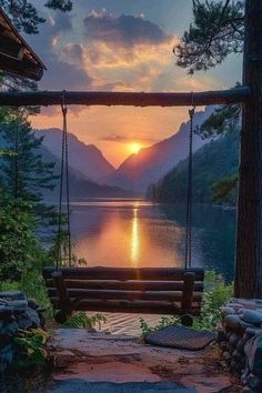 a wooden swing hanging from the side of a tree next to a body of water