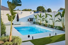 an empty swimming pool surrounded by greenery in a back yard with white fence and trees