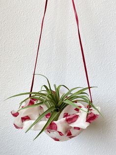 an air plant hanging from a red and white flowered potted on a wall