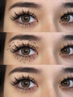 Anime Eyelash Mapping, Lash Mapping Eyelash Extensions Hooded Eyes, Anime Lash Extensions Map, Anime Manga Lashes Extensions, Eyelash For Hooded Eyes, Manga Lash Cluster Map, Fairy Eyelash Extensions, Manga Lash Map Clusters, Wispy Manga Lashes