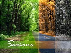 there are four different pictures with the words seasons written on them in white and green