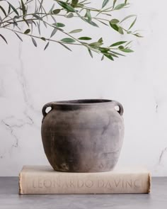 a vase sitting on top of a book next to a plant