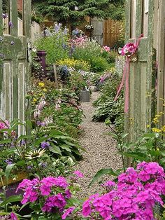 an open door leading into a garden filled with lots of flowers and greenery on both sides