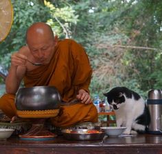 a monk eating out of a bowl next to a black and white cat on a table