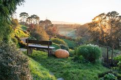 a wooden bench sitting on top of a lush green hillside