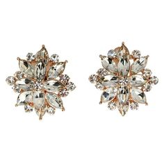 Faship Gorgeous Clear Rhinestone Crystal Floral Clip On Style Earrings Size: one size.  Gender: female.  Age Group: adult. Rhinestone Bridal, Floral Earrings, Style Earrings, Clear Rhinestones, Bridal Earrings, Crystal Earrings, Crystal Rhinestone, Rose Gold Plates, Clip On