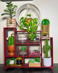 a red shelf filled with potted plants on top of a wooden table next to a white wall