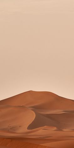 two people are walking in the desert with camels and sand dunes on either side