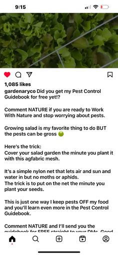 an image of someone's twitter post about their garden