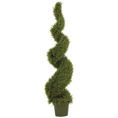 a tall green potted plant with spirally shaped topiary in it's center