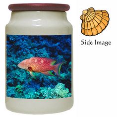 an image of a red fish on a white jar with seaweed and corals