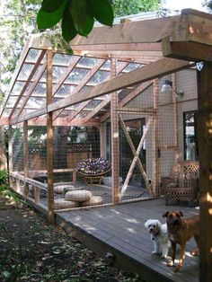 two dogs are standing on a deck in front of a house with a chicken coop