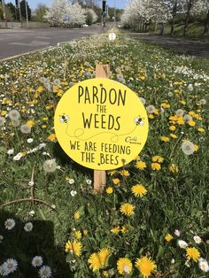 a sign that is in the grass near some daisies and other wildflowers