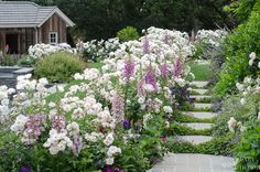 the garden is full of flowers and plants