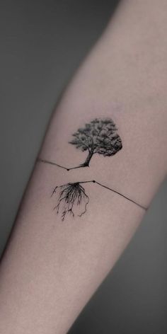 a small tree on the arm with roots