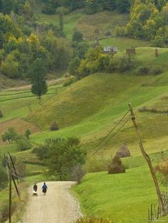 two people walking down a dirt road in the middle of a lush green field with trees