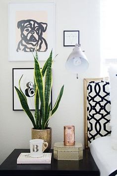 a living room with a couch, coffee cup and plant