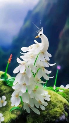 a white bird sitting on top of a lush green field next to flowers in the grass