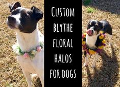 two dogs wearing flower collars with the words custom by the floral halos for dogs