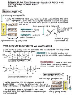 the diagram shows how to use hydrogens and other substances in an animal's body