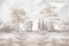 an artistic landscape with trees and water in the foreground, on a cloudy day