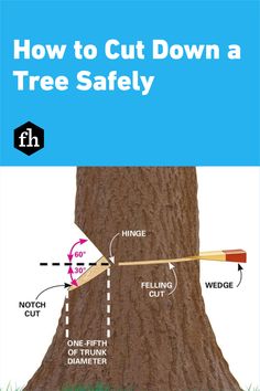 how to cut down a tree safely