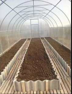 the inside of a greenhouse with rows of plants growing in them and dirt on the ground