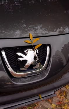 A little car aesthetic is something that I think a lot of people enjoy. And who can say no to a autumn one! 🍁🍂 Peugeot Aesthetic, Brow Studio, Peugeot 208, Car Aesthetic, Take A Picture, The Leaf, First Car, Girl Wallpaper