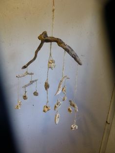 a branch with shells hanging from it's side in a room next to a wall