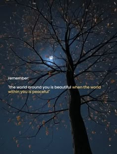 a tree with the moon in the background and an inspirational quote written on it that says, remember the world around you is beautiful when the world