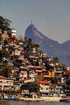 many birds flying over a city on the water with mountains in the backgroud