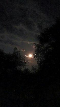 the moon is shining brightly in the dark sky above some tree tops at night time