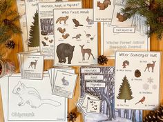 several different animals and plants are shown on the table next to pine cones, pine cones, and cards