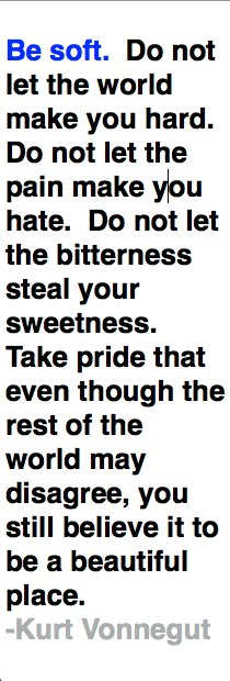 a poem written in black and white with the words be soft, do not let the world