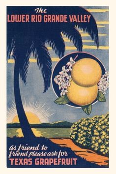 an advertisement for the loner rio grande valley citrus fruit, with two lemons