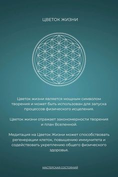 Цветок Жизни Astro Tarot, Sacred Geometry Art, Geometry Art, Mandala Drawing, Sacred Art, Flower Mandala, Flower Of Life, Tarot Spreads, Sacred Geometry