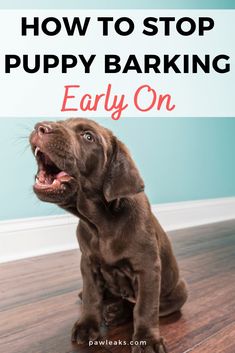 a brown dog sitting on top of a wooden floor with the words how to stop puppy barking