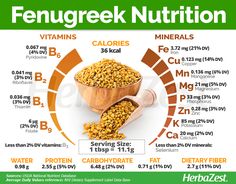 Fenugreek | HerbaZest Fennel Health Benefits, Nutrition Chart, Culinary Herbs, Healthy Benefits, Health Remedies, Low Carb Diet, Vitamins And Minerals, Health And Nutrition