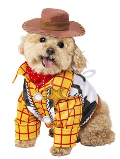 a dog dressed up in a costume with a cowboy hat and lasso on it's chest