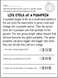 the life cycle of a pumpkin worksheet for students to practice reading and writing