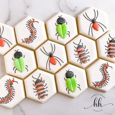 decorated cookies with bugs and ladybugs are arranged in hexagons on a marble surface