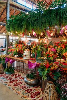 a room filled with lots of different types of flowers and plants hanging from the ceiling