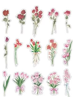 various flowers stickers are shown on a white background, including pink and red tulips