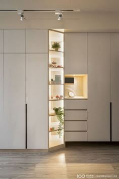 an empty room with white cupboards and plants in the shelves on either side of the door