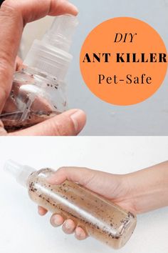 a person holding a bottle filled with pet - safe insect repellent and the words diy ant killer on it