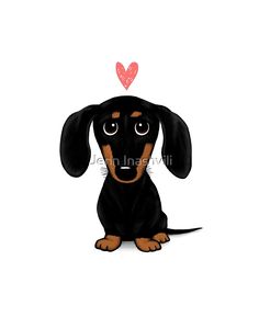 a black and brown dachshund with a heart on it's head